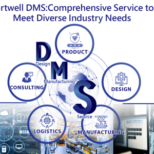 1745994308_DNS-01_1000x728